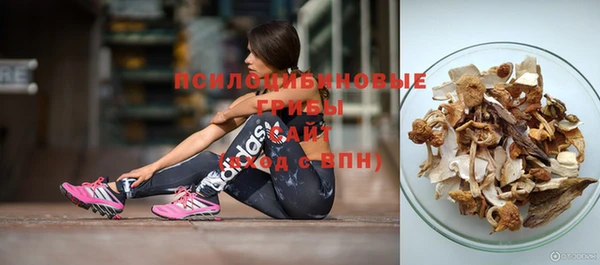 а пвп мука Белокуриха