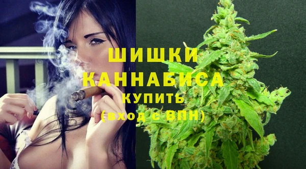 PSILOCYBIN Беломорск