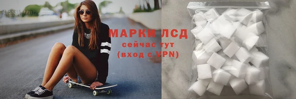 PSILOCYBIN Беломорск