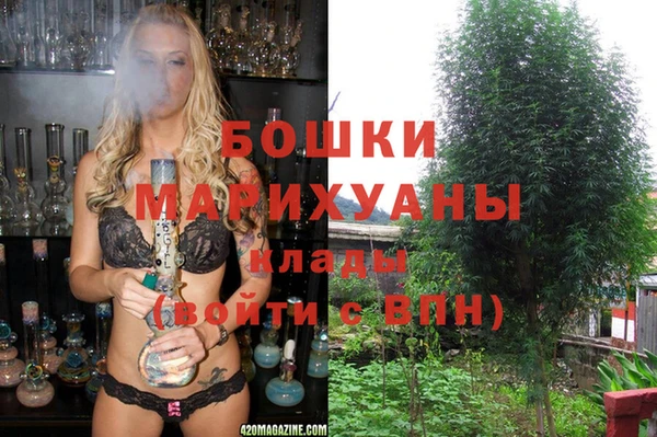 PSILOCYBIN Беломорск